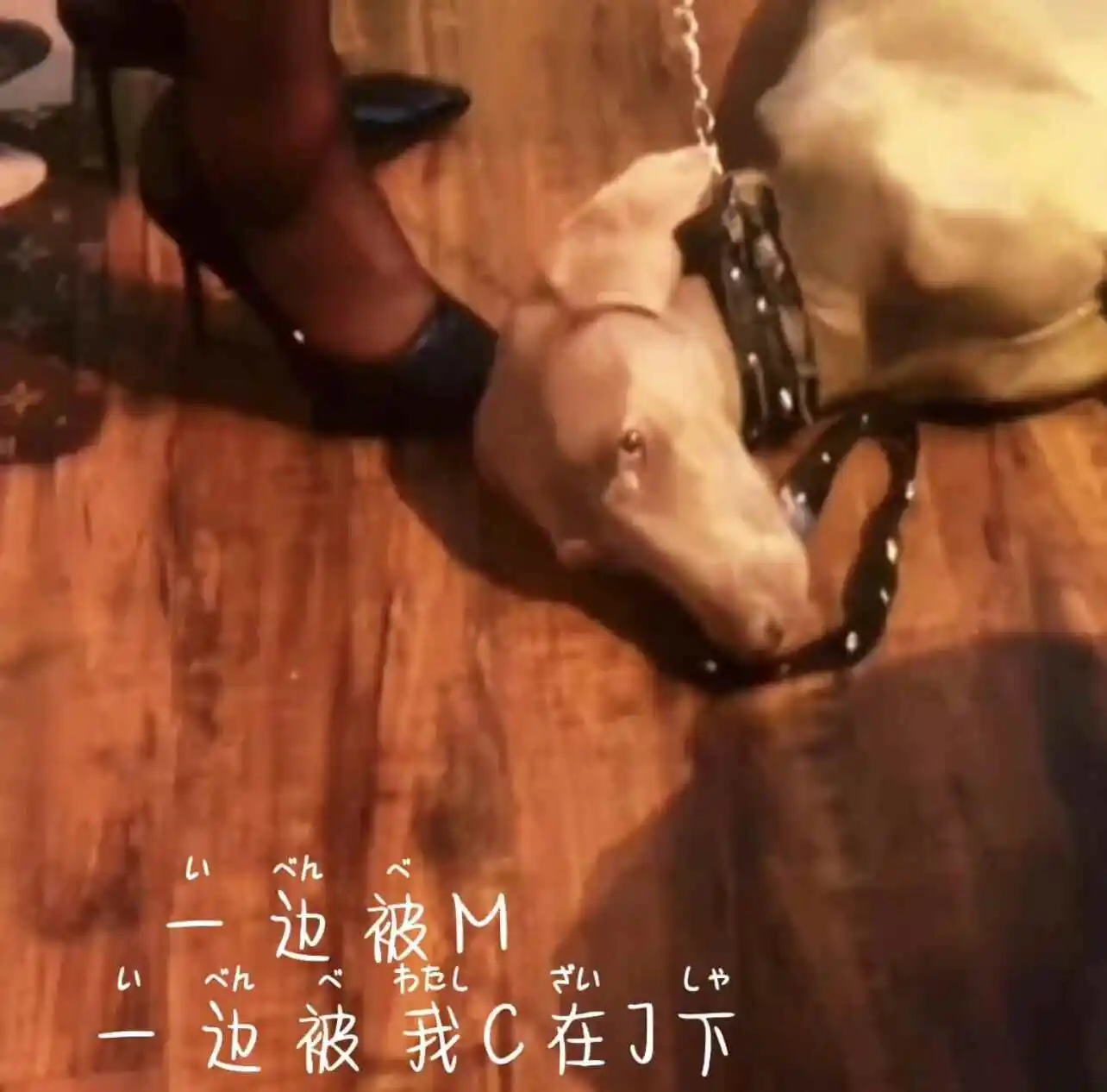 【西檬之家】BDSM新人指南：读懂字母圈核心术语与原则