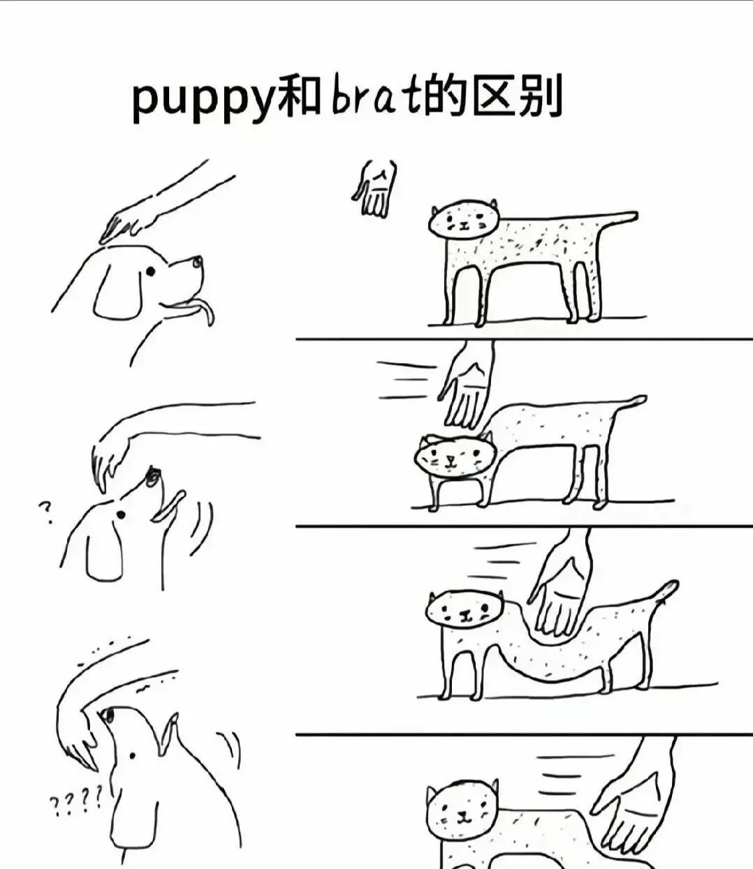 Dom - 微信图片_2025-11-13_180940_765