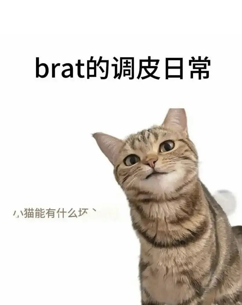 恋足癖 - 2025-11-13 192048