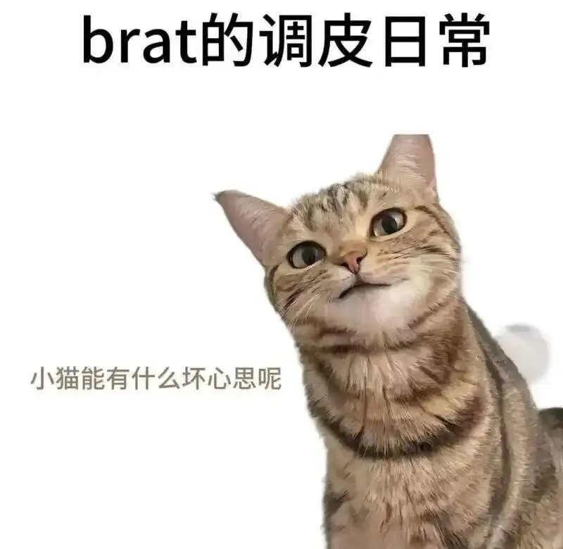 斯慕圈：实用指南