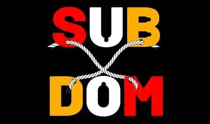 【西檬之家】Sub是什么？字母圈新人入门概念解析