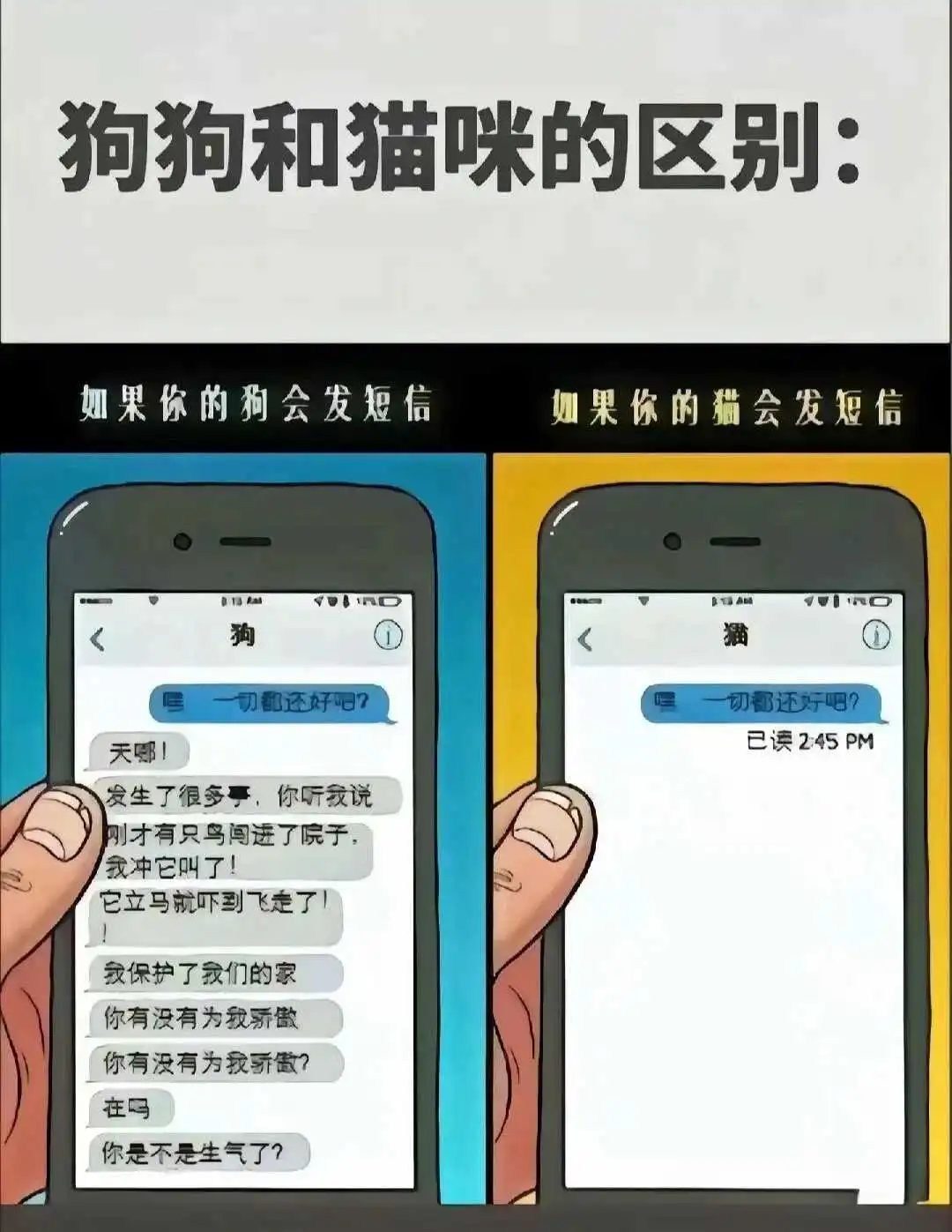 西檬之家-BDSM入圈指南：新人必读的核心术语与原则