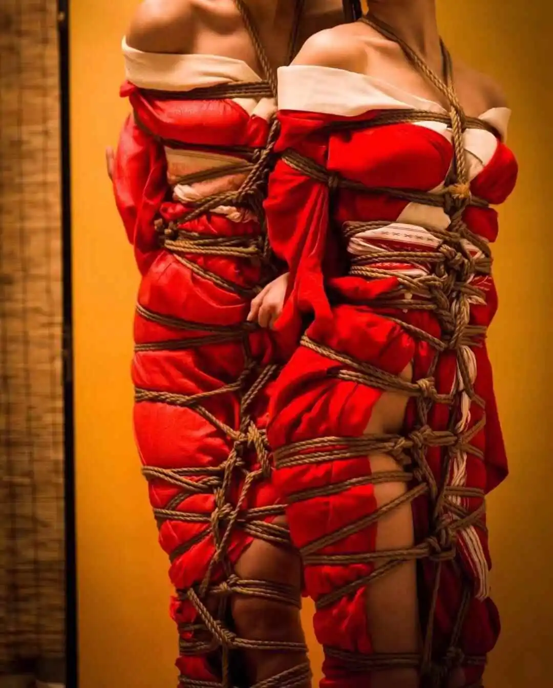 BDSM：实用指南