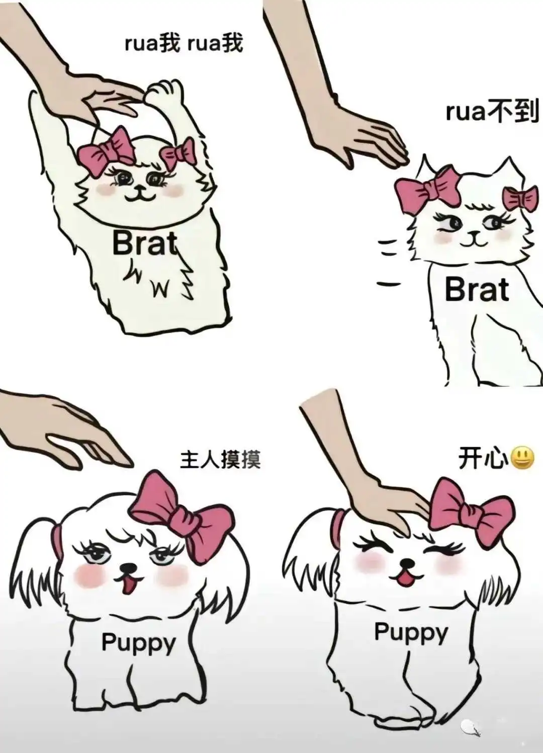 西檬之家-Dom/sub关系认知指南：从术语解读到实践安全