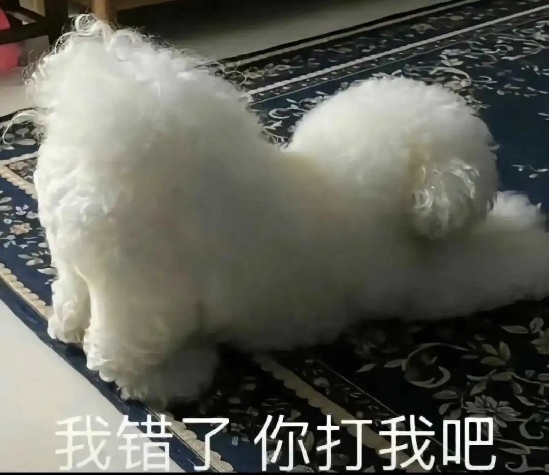 西檬之家-字母圈k9犬系实践指南